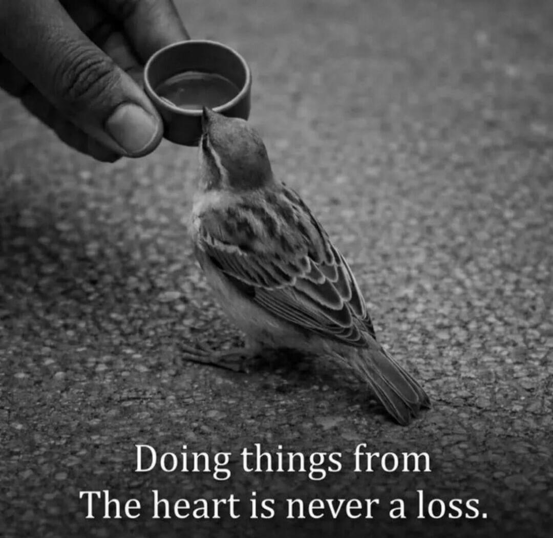 Doing things from The heart is never a loss.