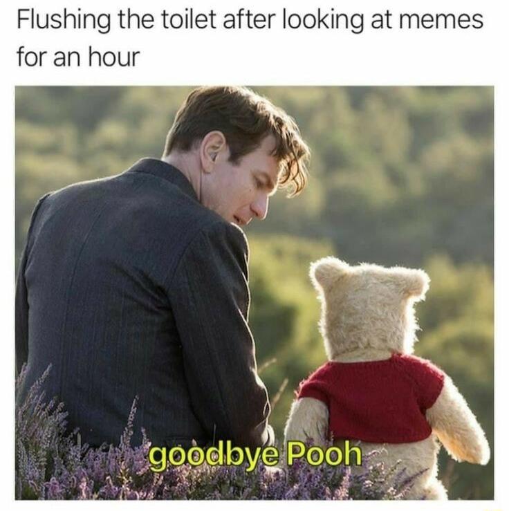 Flushing the toilet after looking at memes for an hour