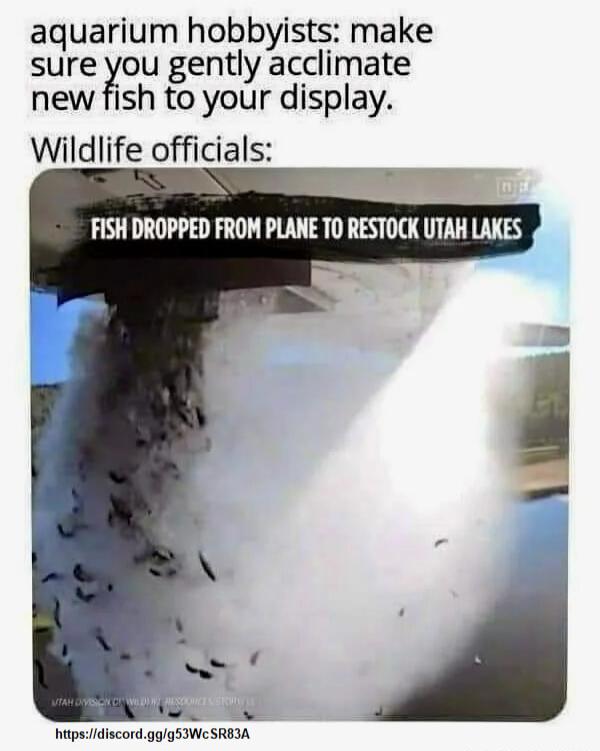 aquarium hobbyists make sure ou gently acclimate new fish to your display Wildlife officials FISH DROPPED FROM PLANE TO RESTOCK UTAH LAKES hitpsidiscordgggSWeSREIA