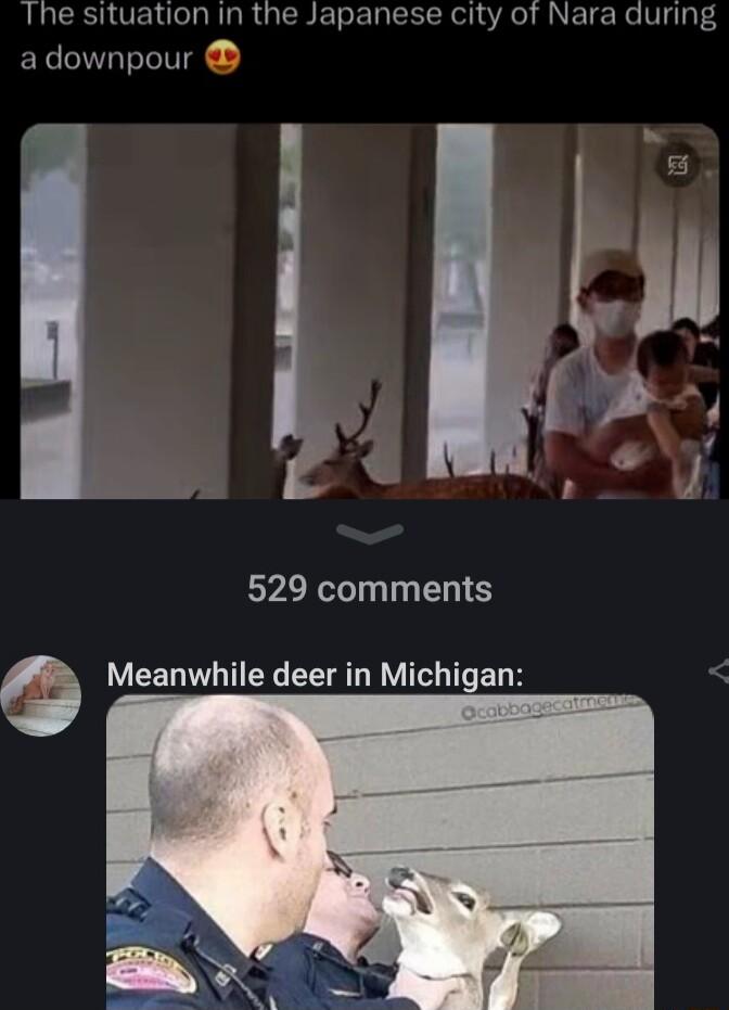 The situation Iin the Japanese city of Nara during adownpour t i Y d L ol 5 529 comments Meanwhile deer in Michigan