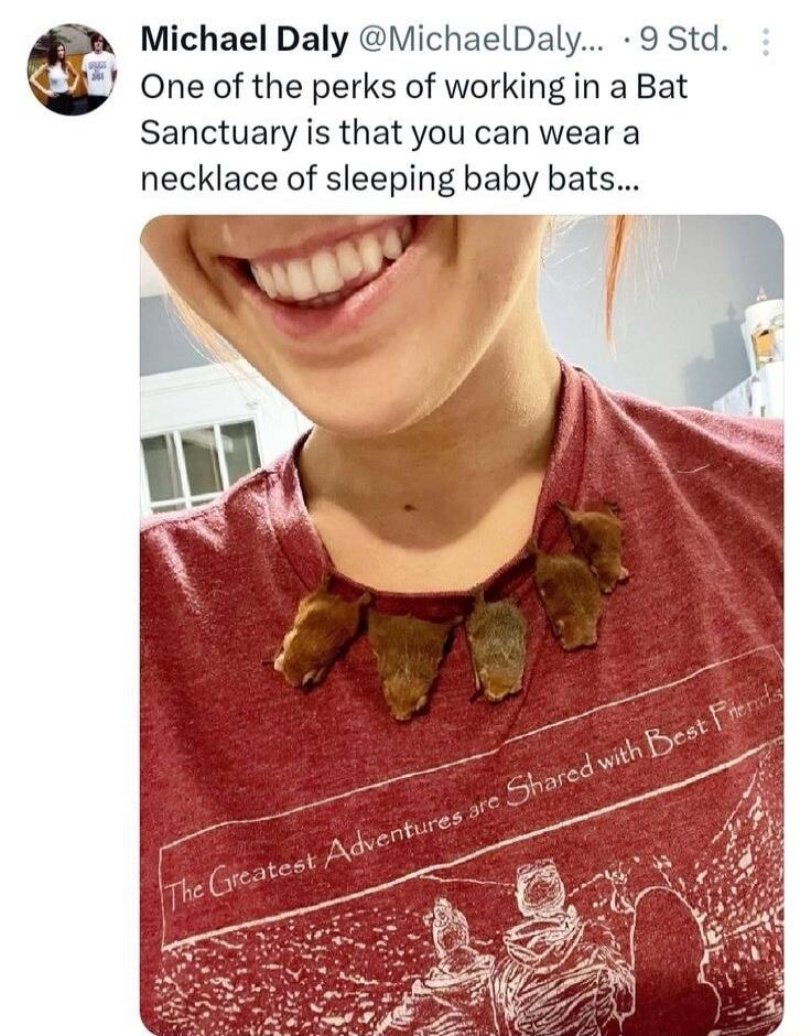 One of the perks of working in a Bat Sanctuary is that you can wear a necklace of sleeping baby bats...
