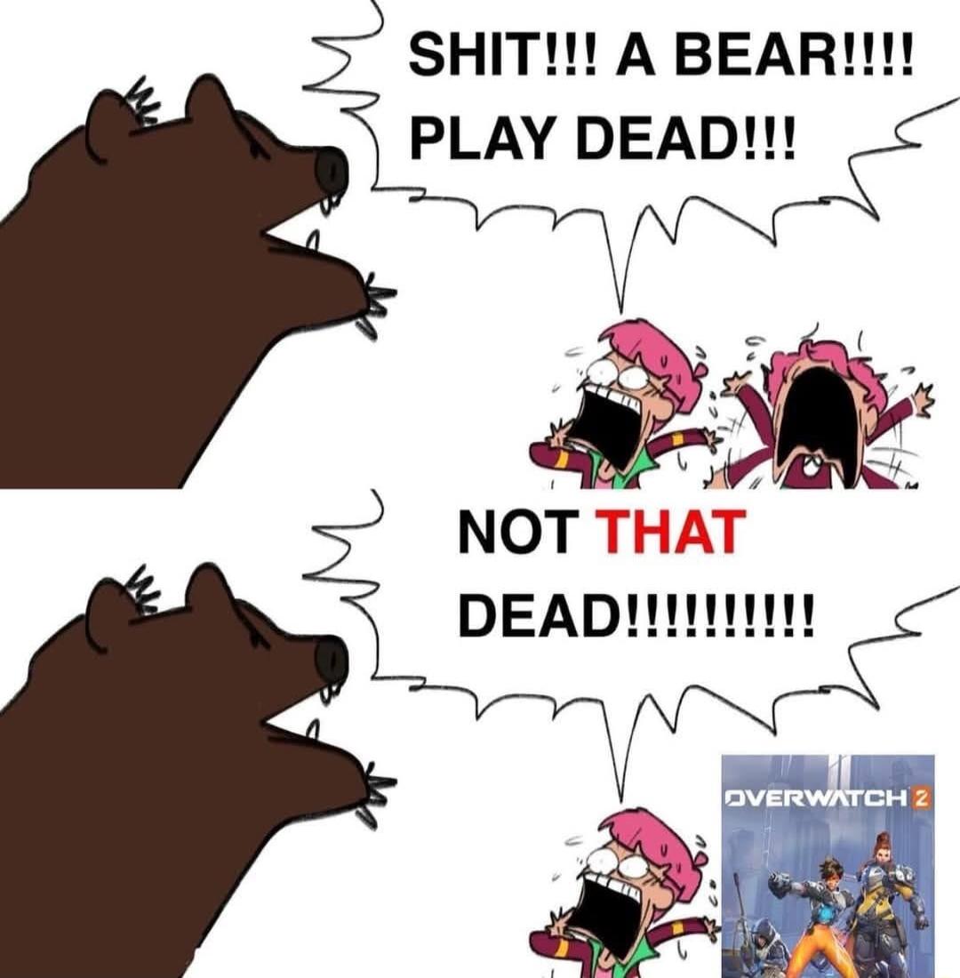 SHIT A BEAR PLAY DW 4 NOTTHAT DEADW
