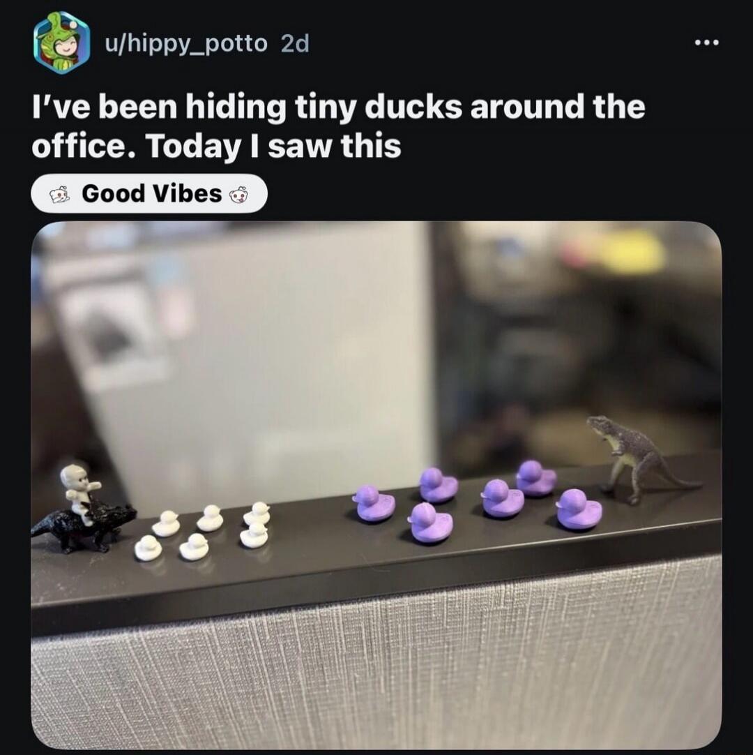 I've been hiding tiny ducks around the office. Today I saw this Good Vibes