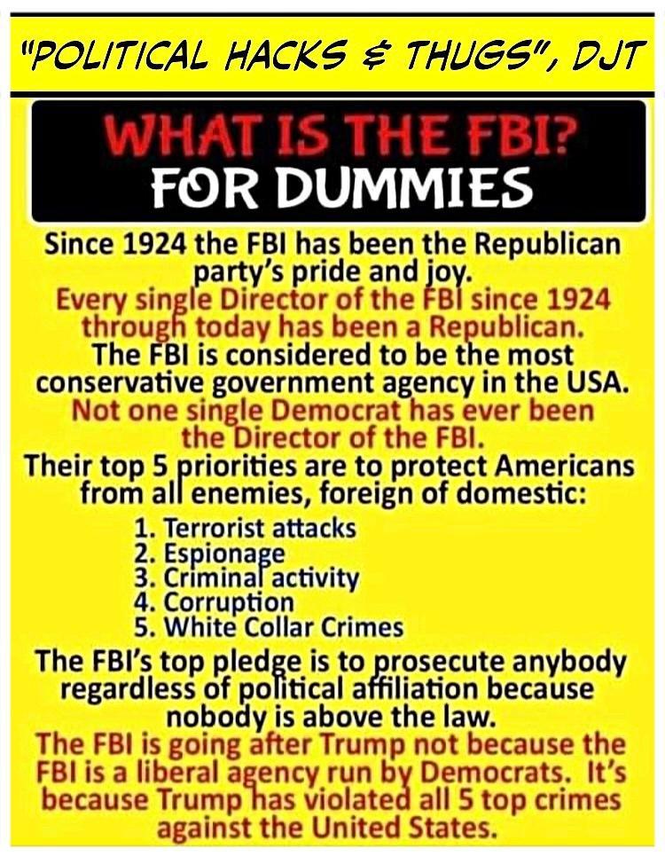 POLITICAL HACKS THUGS DJT WHAT IS THE FBI Every single Di throu KIulv ha i Not one sing Ie Democrat has eMur hL gngtlr of the FBI SR FBI is going wamr Trump not because Bl is a liberal agency run hg emocrats Its d becaus fias violated all 5 top crimes i ited States