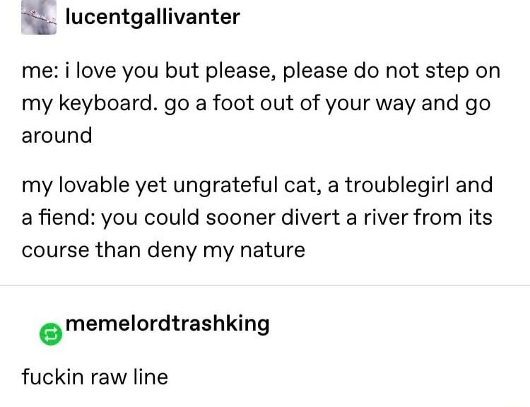 i lucentgallivanter me i love you but please please do not step on my keyboard go a foot out of your way and go around my lovable yet ungrateful cat a troublegirl and a fiend you could sooner divert a river from its course than deny my nature omemelordtrashking fuckin raw line