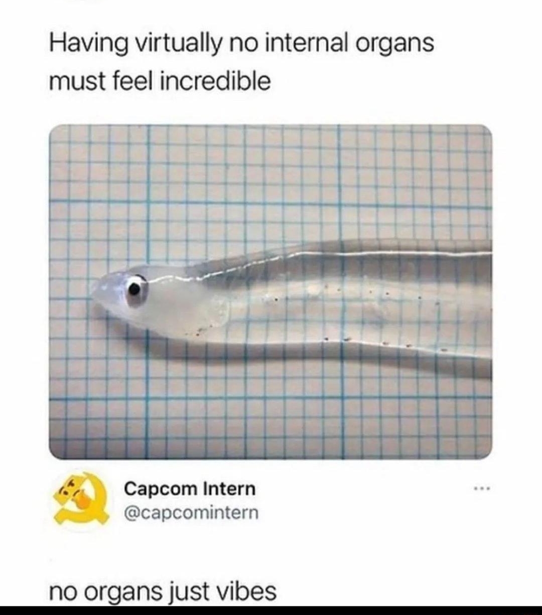 I edwardodell Having virtually no internal organs must feel incredible 14 1T Capcom Intern capcomintern no organs just vibes