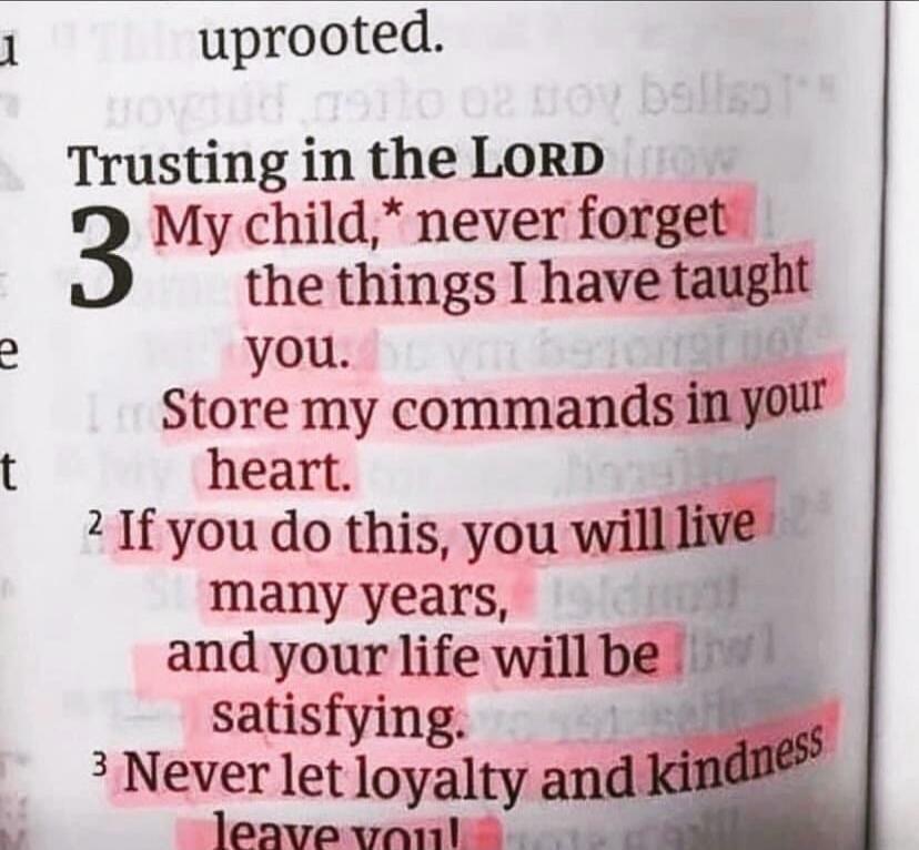 Trusting in the LORD
3 My child, never forget the things I have taught you. Store my commands in your heart.
2 If you do this, you will live many years, and your life will be satisfying.
3 Never let loyalty and kindness