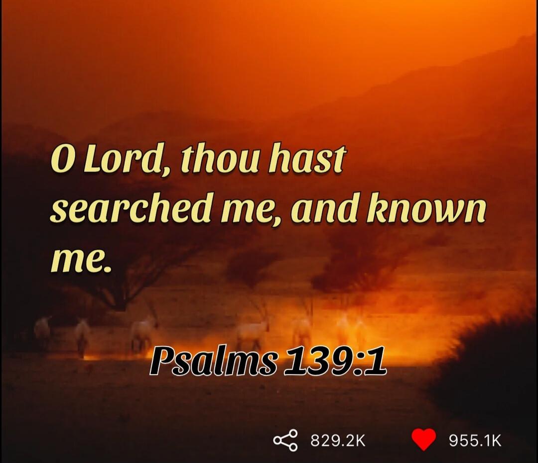 O Lord, thou hast searched me, and known me. Psalms 139:1