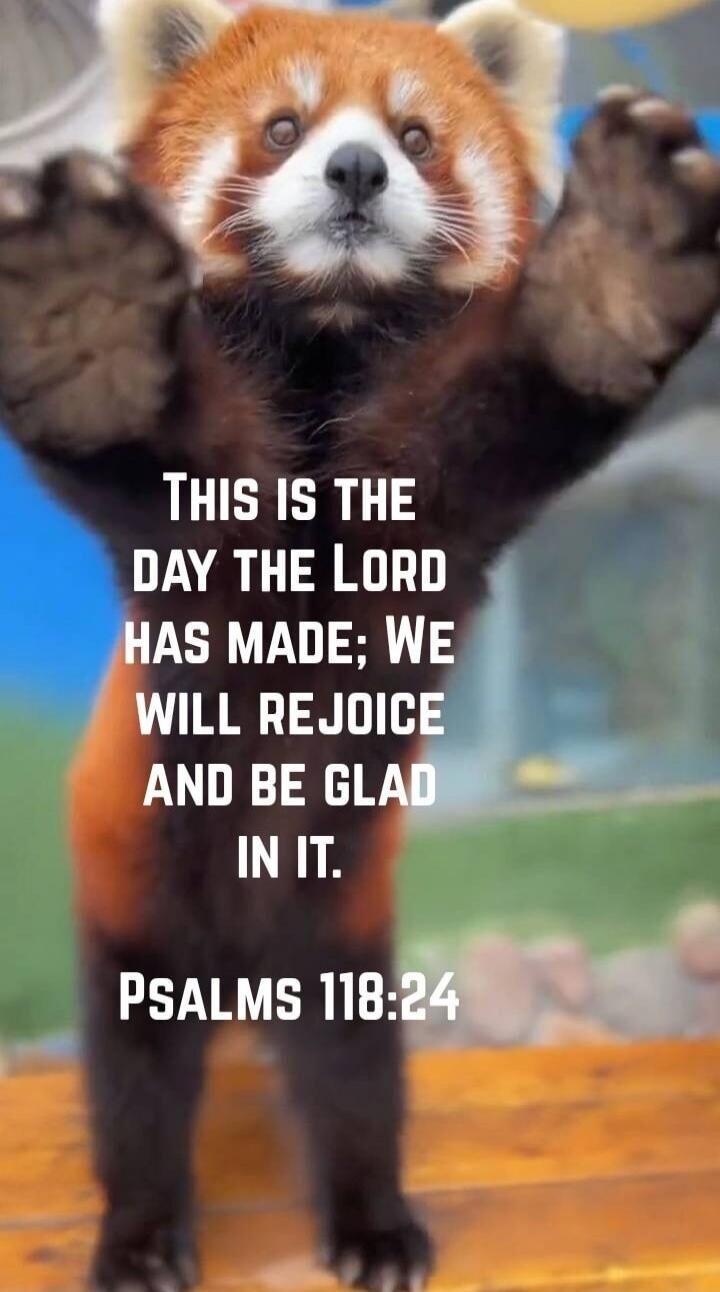 THIS IS THE DAY THE LORD HAS MADE; WE WILL REJOICE AND BE GLAD IN IT. PSALMS 118:24