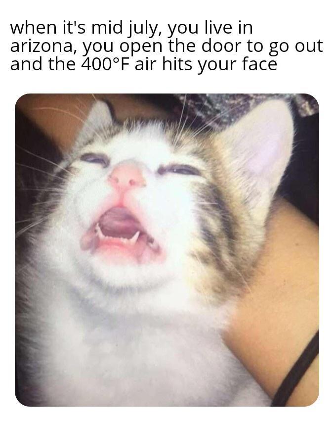 when its mid july you live in arizona you open the door to go out and the 400F air hits your face