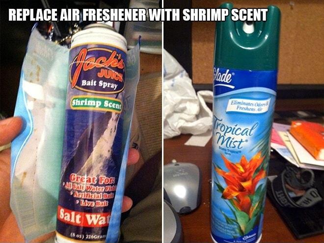 IlEIlAGE AR FRESHEIImWITH SHRIMP SCENT