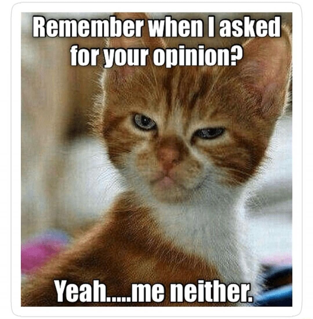 Remember when I asked for your opinion? Yeah....me neither.