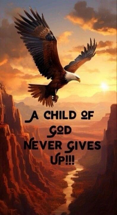 A CHILD OF GOD NEVER GIVES UP!!!
