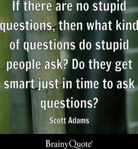 If there are no stupid questions, then what kind of questions do stupid people ask? Do they get smart just in time to ask questions? 
Scott Adams