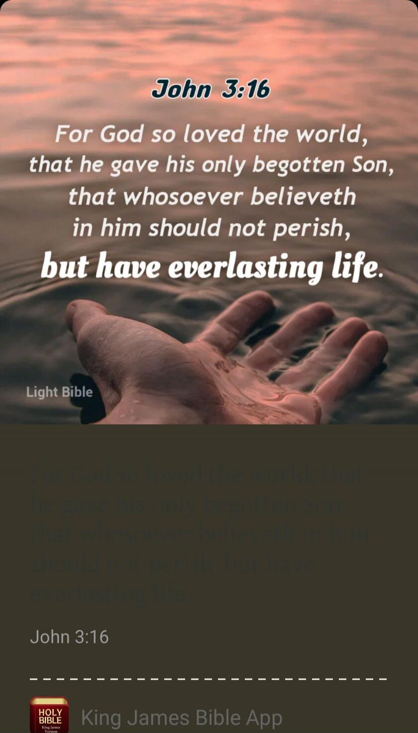 John 3:16
For God so loved the world, that he gave his only begotten Son, that whosoever believeth in him should not perish, but have everlasting life.
Light Bible