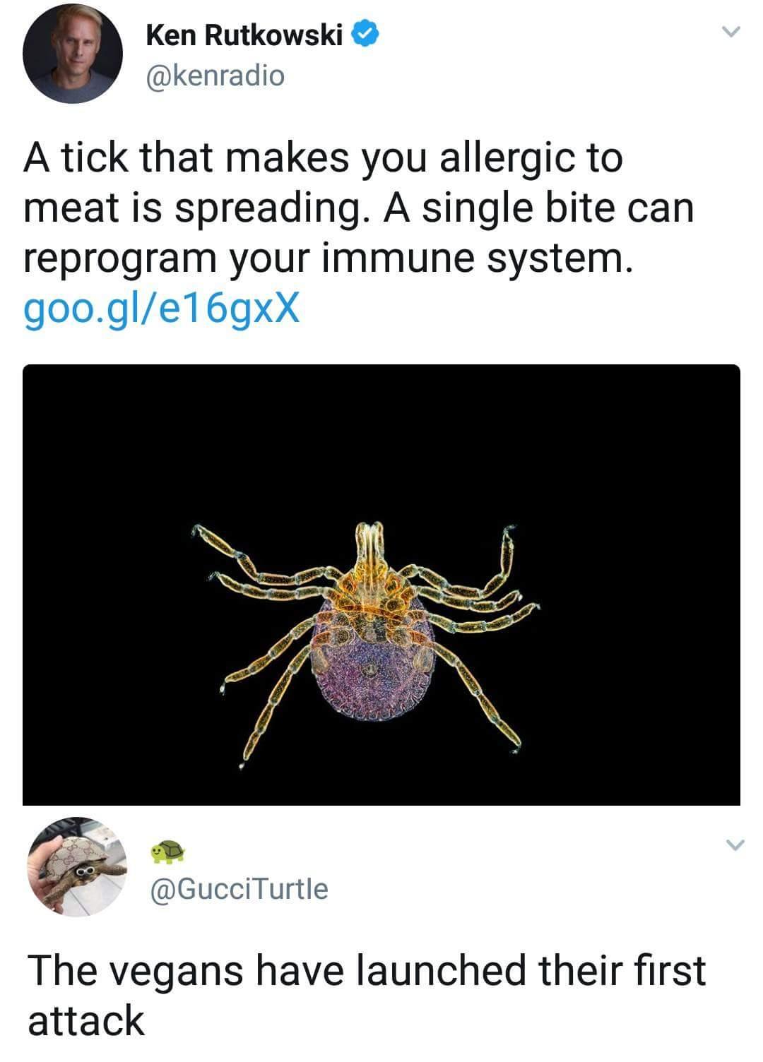 Ken Rutkowski kenradio A tick that makes you allergic to meat is spreading A single bite can reprogram your immune system google16gxX The vegans have launched their first attack