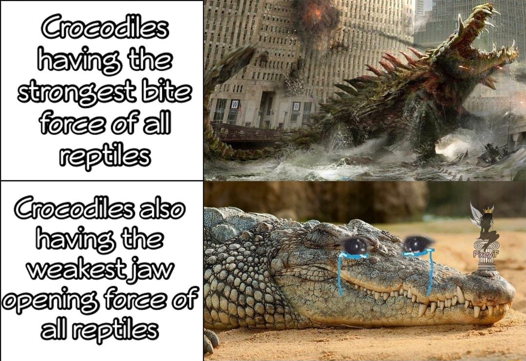 M foraz s reving tha