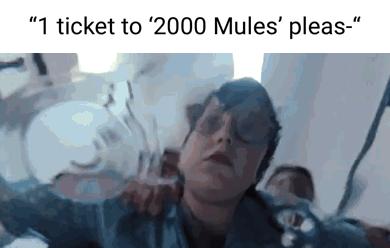 1 ticket to 2000 Mules pleas