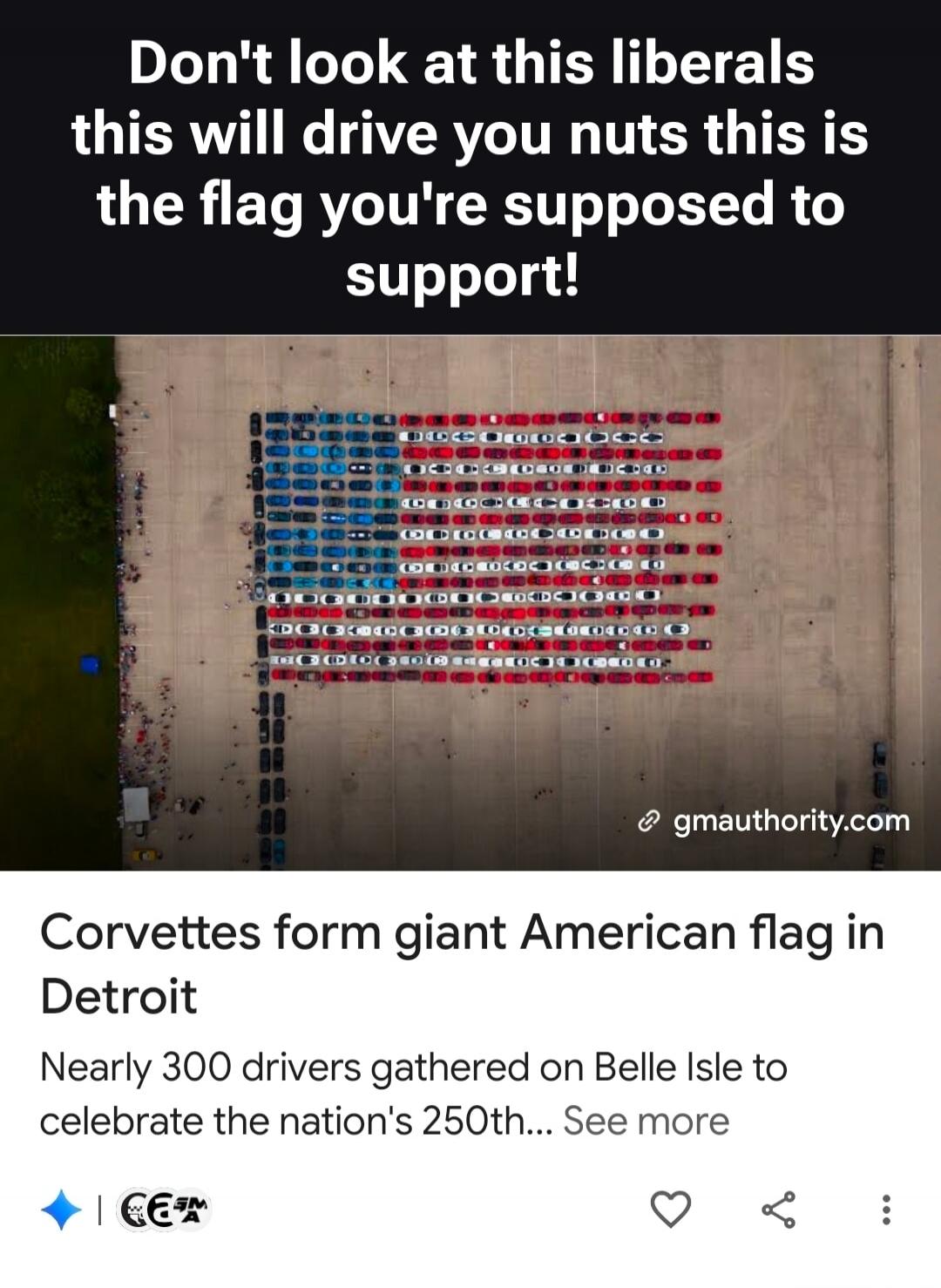 Don't look at this liberals this will drive you nuts this is the flag you're supposed to support! @gmauthority.com Corvettes form giant American flag in Detroit Nearly 300 drivers gathered on Belle Isle to celebrate the nation's 250th... See more