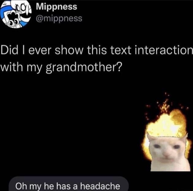 Mippness mippness Did ever show this text interaction with my grandmother Oh my he has a headache