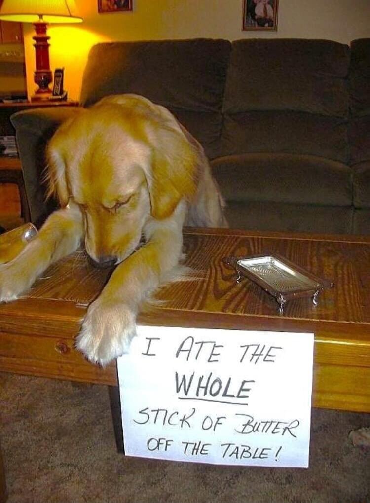 I ATE THE WHOLE STICK OF BUTTER OFF THE TABLE!
