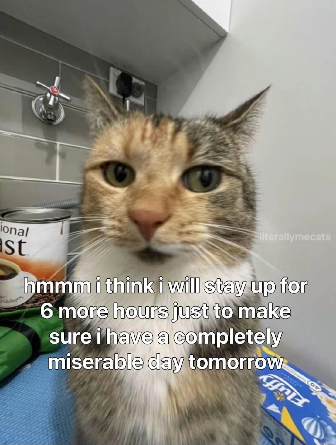 hmmm i think i will stay up for 6 more hours just to make sure i have a completely miserable day tomorrow