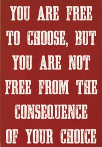 YOU ARE FREE TO CHOOSE, BUT YOU ARE NOT FREE FROM THE CONSEQUENCE OF YOUR CHOICE