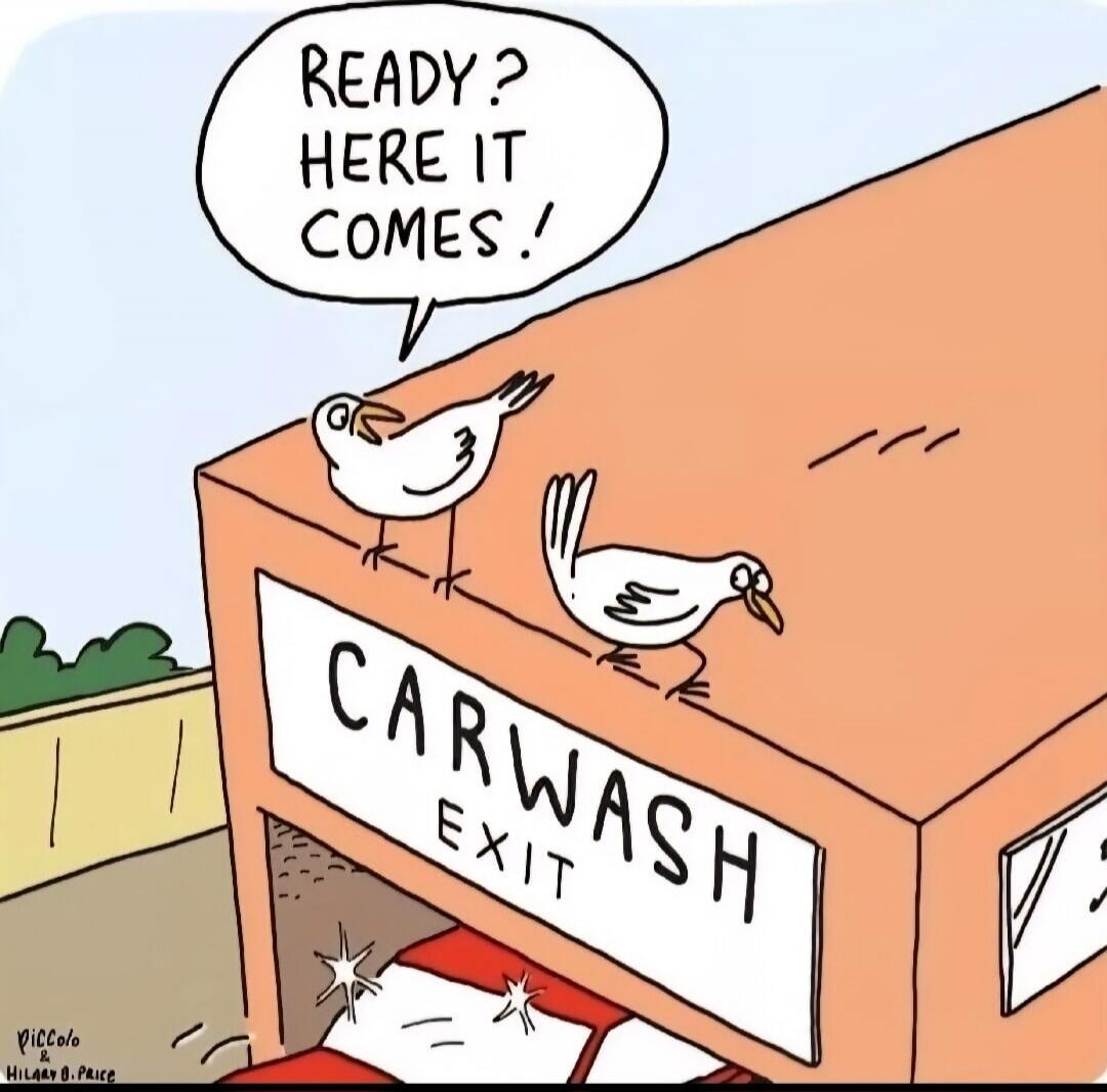READY? HERE IT COMES! CARWASH EXIT