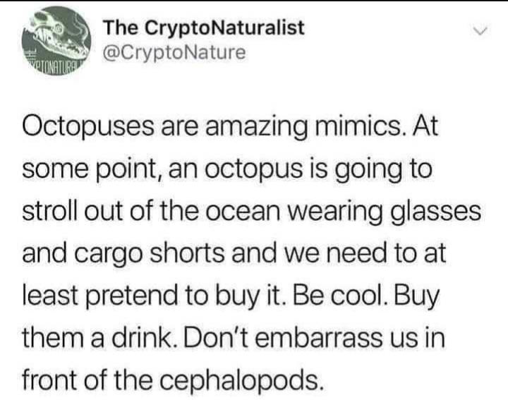 m The CryptoNaturalist S CryptoNature Octopuses are amazing mimics At some point an octopus is going to stroll out of the ocean wearing glasses and cargo shorts and we need to at least pretend to buy it Be cool Buy them a drink Dont embarrass us in front of the cephalopods