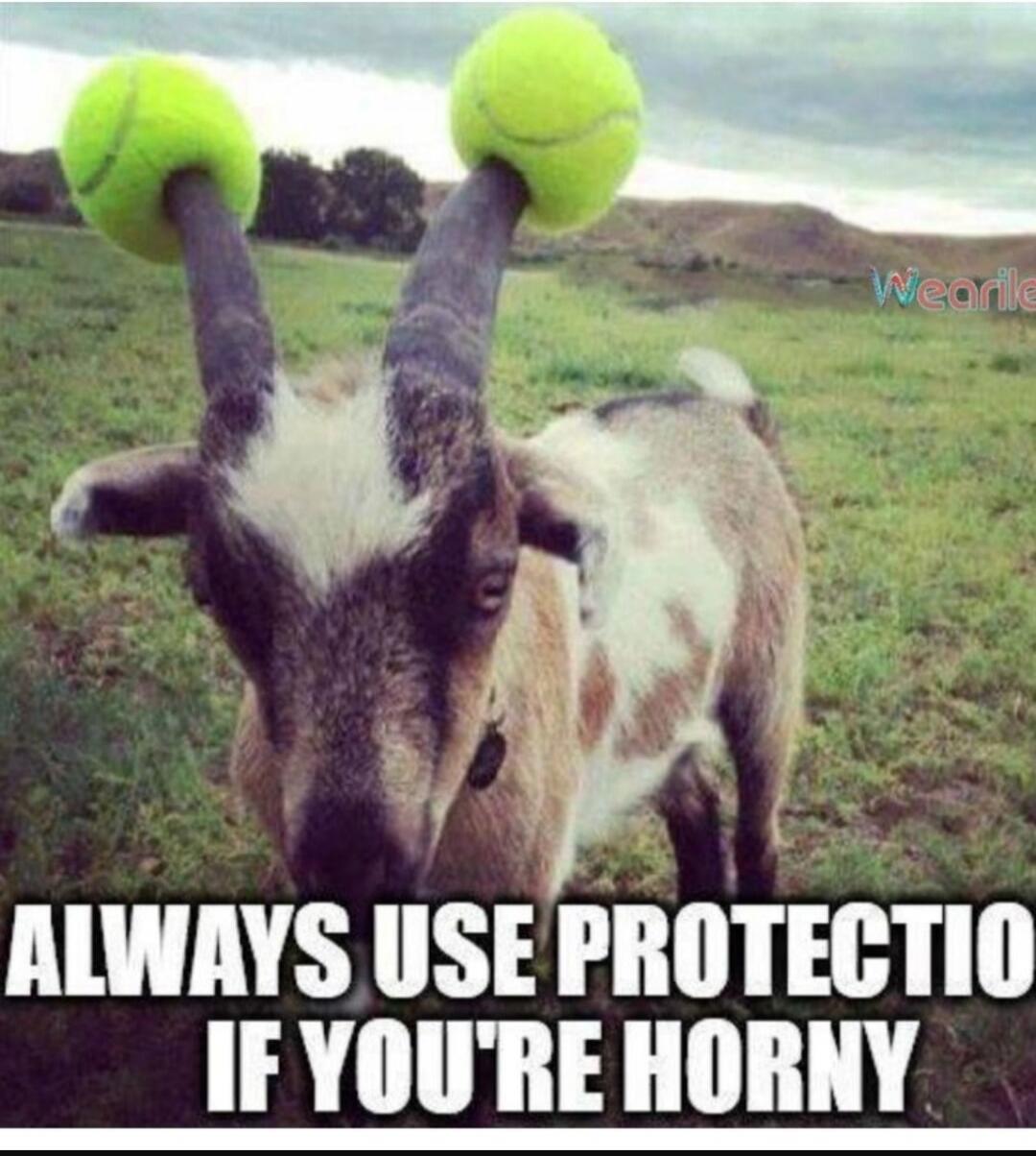 ALWAYS USE PROTECTION IF YOU'RE HORNY