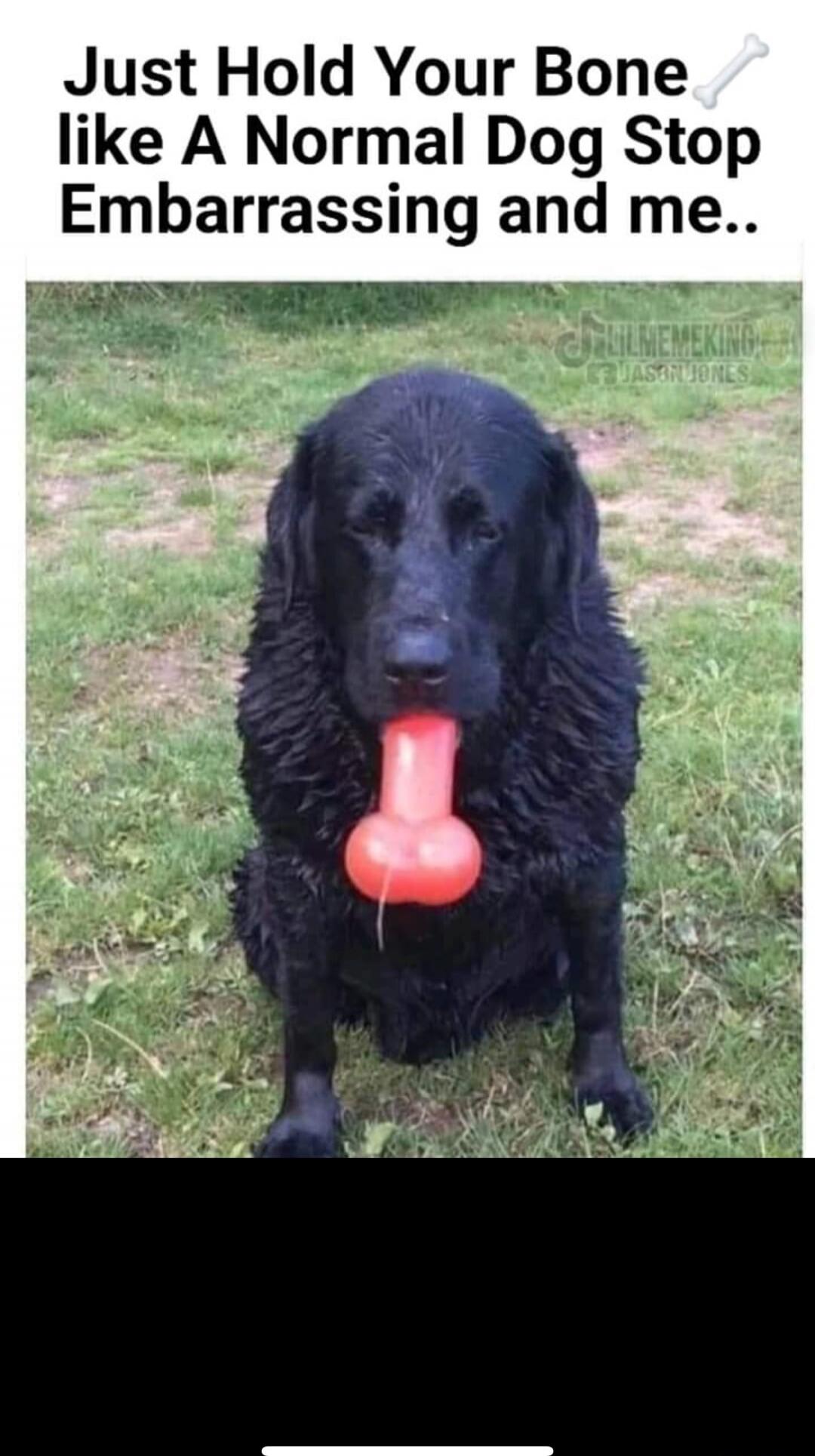 Just Hold Your Bone like A Normal Dog Stop Embarrassing and me..