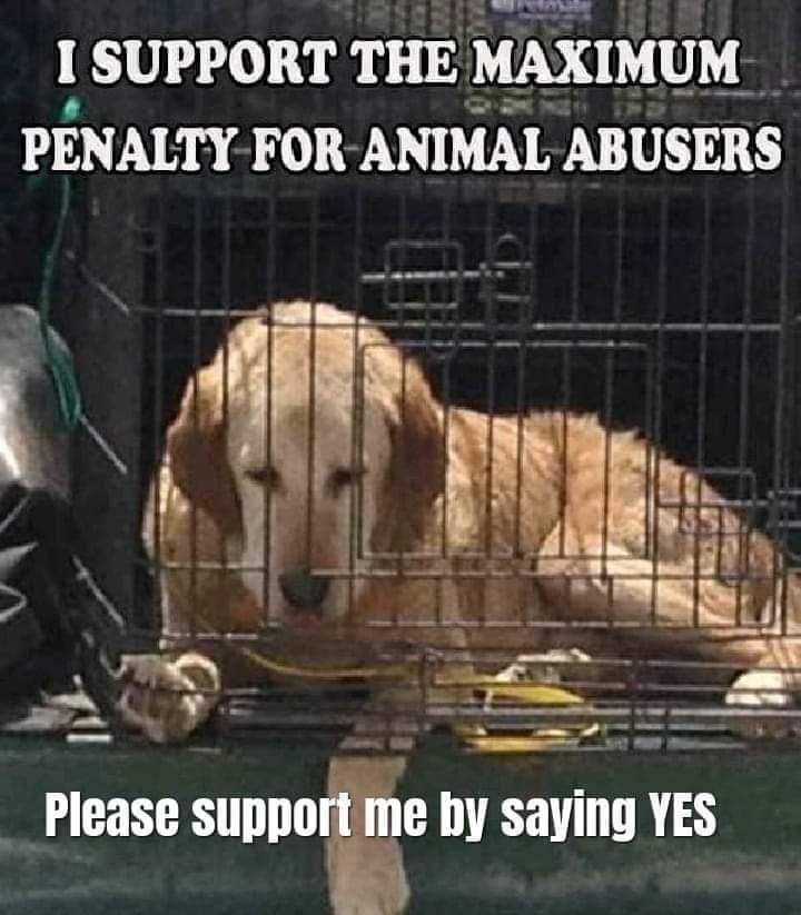 l SUPPORT THE MAXIMUM PENALTY FOR ANIMAL ABUSERS Please Sllllllle by saying YES