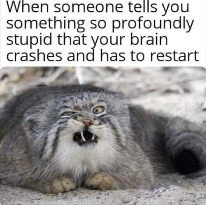 When someone tells you something so profoundly stupid that your brain crashes and has to restart