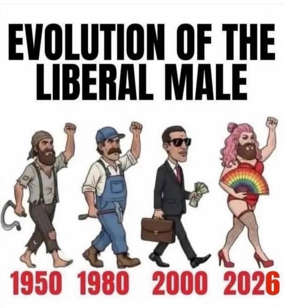EVOLUTION OF THE LIBERAL MALE 1950 1980 2000 2026