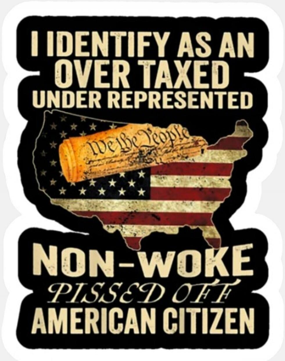 I identify as an over taxed under represented non-woke pissed off American citizen. We the People.