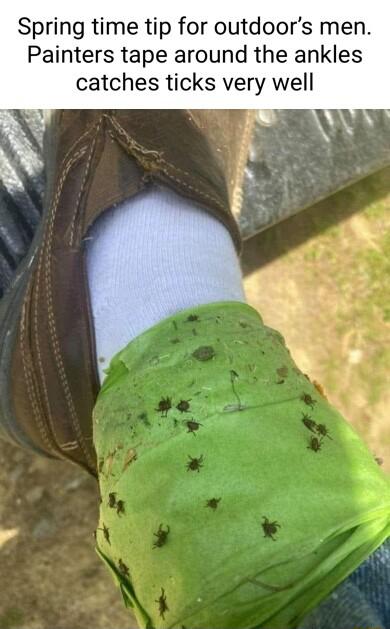 Spring time tip for outdoors men Painters tape around the ankles catches ticks very well