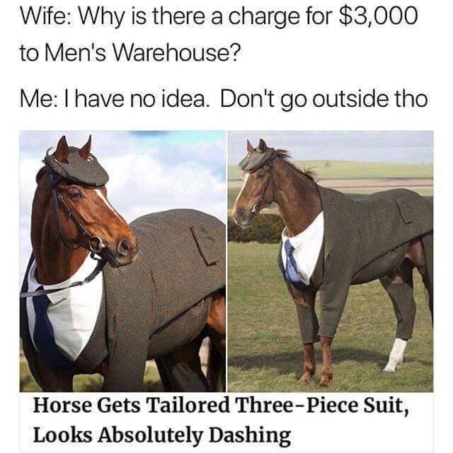 Wife Why is there a charge for 3000 to Mens Warehouse Me have no idea Dont go outside tho L7 Horse Gets Tailored Three Piece Suit Looks Absolutely Dashing