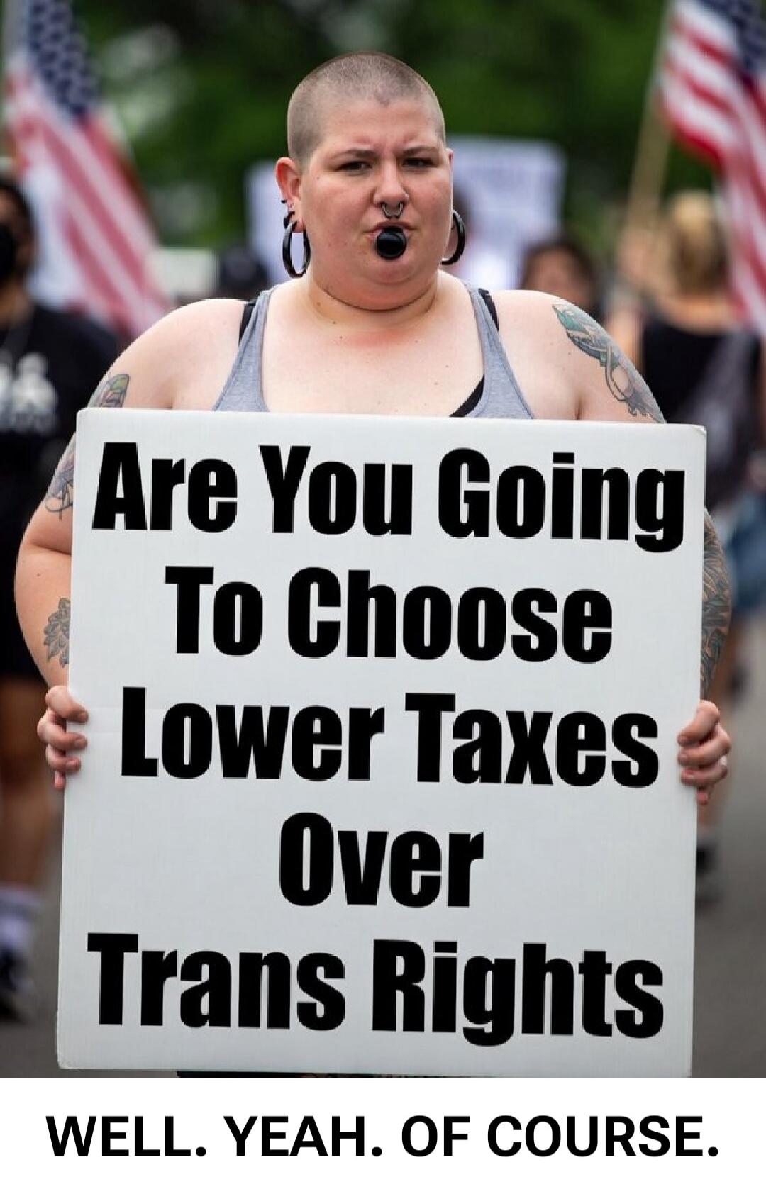 Are You Going To Choose Lower Taxes Over Trans Rights WELL. YEAH. OF COURSE.