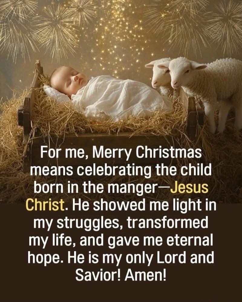 For me, Merry Christmas means celebrating the child born in the manger—Jesus Christ. He showed me light in my struggles, transformed my life, and gave me eternal hope. He is my only Lord and Savior! Amen!