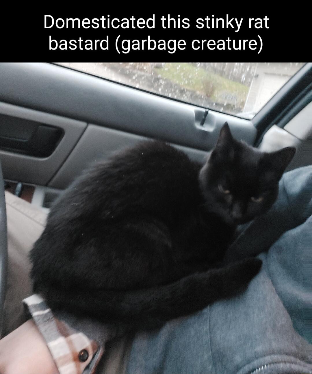 0Je ST L RGIERS SA 1 bastard garbage creature L 4