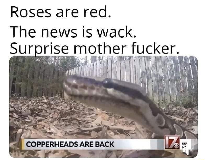 Roses are red The news is wack Surris mother fucker