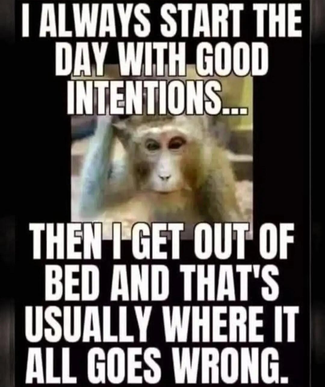 I ALWAYS START THE DAY WITH GOOD INTENTIONS... THEN I GET OUT OF BED AND THAT'S USUALLY WHERE IT ALL GOES WRONG.