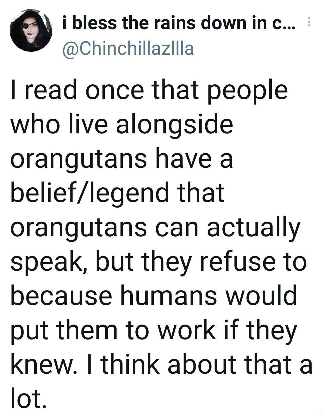 i bless the rains downinc Chinchillazllla read once that people who live alongside orangutans have a belieflegend that orangutans can actually speak but they refuse to because humans would put them to work if they knew think about that a lot