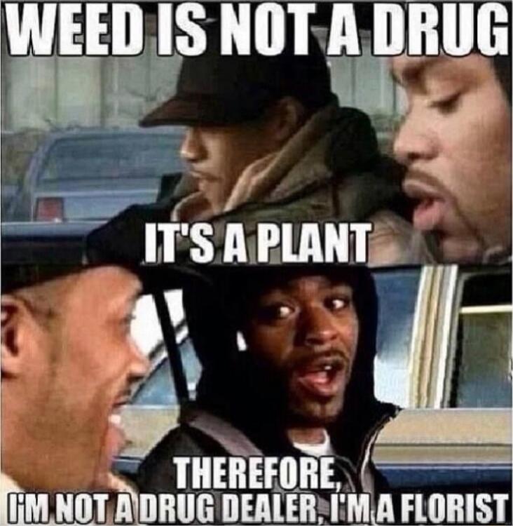 WEED IS NOT ADRUG fnu 5 k o IPSAPLANTA THEREFORE M NOT RDRUG DEALERFMA FLORIST