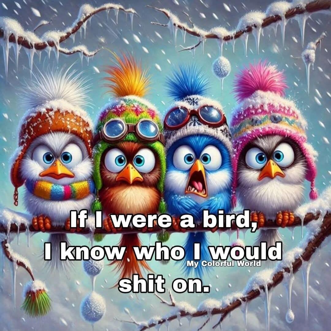 If I were a bird, I know who I would shit on. My Colorful World