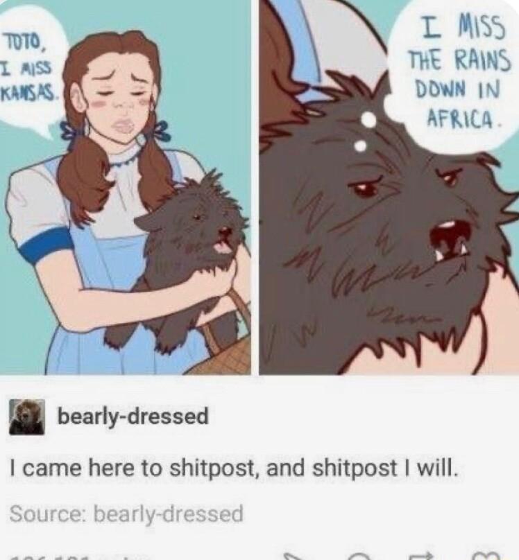 bearly dressed came here to shitpost and shitpost will