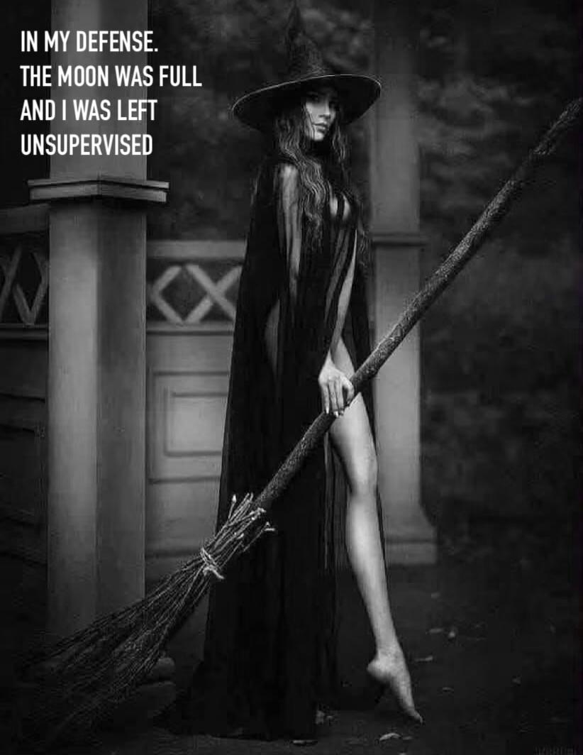 IN MY DEFENSE. THE MOON WAS FULL AND I WAS LEFT UNSUPERVISED