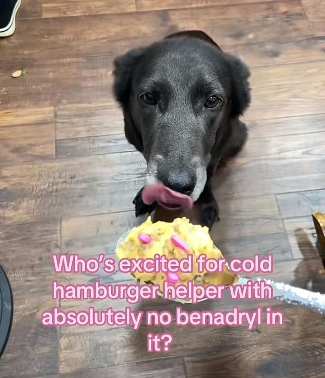 Who's excited for cold hamburger helper with absolutely no benadryl in it?