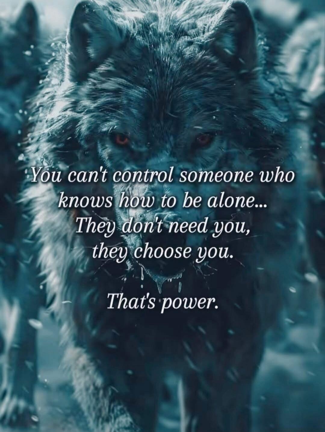 You can't control someone who knows how to be alone... They don't need you, they choose you. That's power.