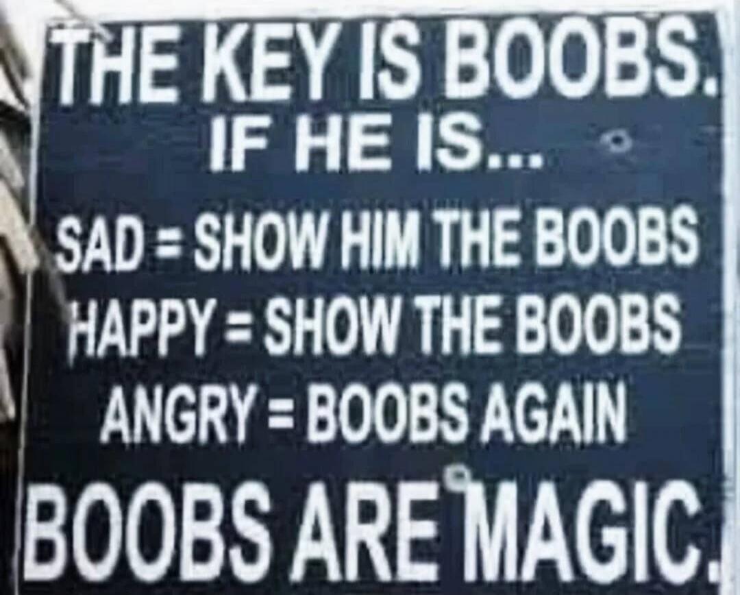 THE KEY IS BOOBS. IF HE IS... SAD = SHOW HIM THE BOOBS HAPPY = SHOW THE BOOBS ANGRY = BOOBS AGAIN BOOBS ARE MAGIC.